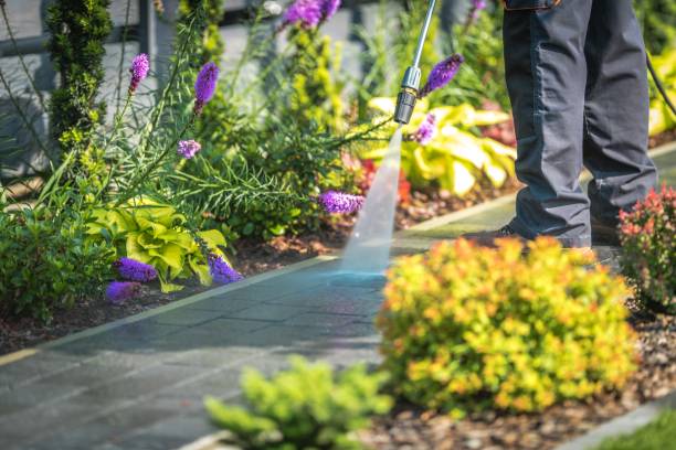 Best Dumpster Area Cleaning  in Baraboo, WI